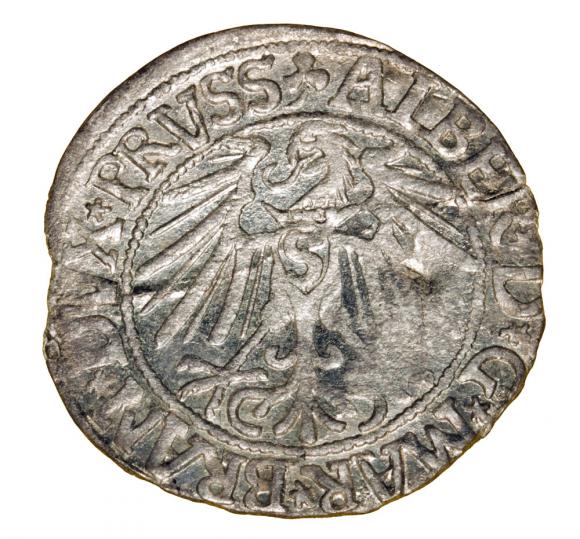 Grosz 1546 Albrecht Hohenzollern Księstwo Pruskie Królewiec