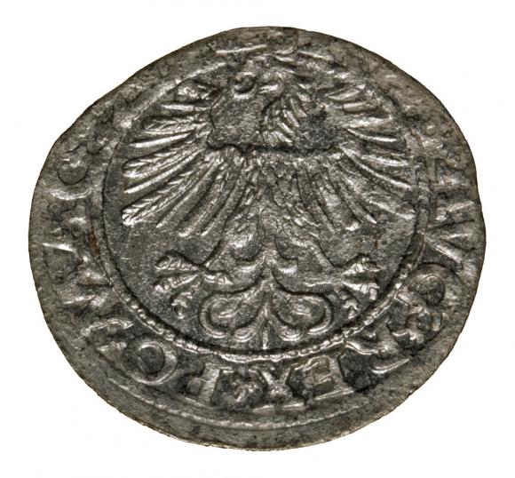 Półgrosz 1562 Zygmunt II August Wilno