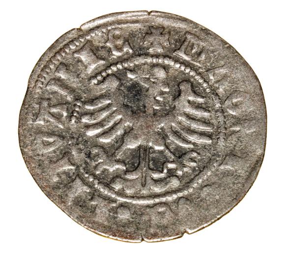 Półgrosz Aleksander Jagiellończyk Litwa Wilno (2)