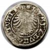 mini: Półgrosz Aleksander Jagiellończyk Wilno (2)