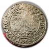 mini: Półgrosz 1556 Zygmunt II August Wilno (2)