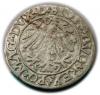 mini: Półgrosz 1559 Zygmunt II August Wilno (2)