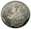 mini: Półgrosz 1563 Zygmunt II August Wilno (2)