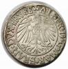 mini: Grosz 1542 Albrecht Hohenzollern Księstwo Pruskie Królewiec (2)