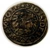 mini: Szeląg 1547 Zygmunt I Stary Gdańsk (2)