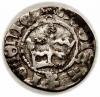 mini: Półgrosz Jan Olbracht Kraków (1)