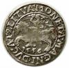 mini: Półgrosz 1556 Zygmunt II August Wilno (1)