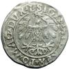 mini: Półgrosz 1558 Zygmunt II August Wilno (2)