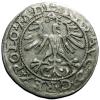 mini: Półgrosz 1564 Zygmunt II August Wilno (2)