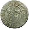 mini: Półgrosz 1507 Zygmunt I Stary Kraków (1)