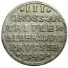 mini: Trojak 1540 Albrecht Hohenzollern Księstwo Pruskie Królewiec (2)