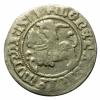 mini: Półgrosz 1511 Zygmunt I Stary Wilno (1)
