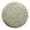 mini: Grosz 1545 Albrecht Hohenzollern Księstwo Pruskie Królewiec (2)