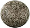 mini: Grosz pruski 1545 Albrecht Hohenzollern Księstwo Pruskie Królewiec (2)