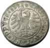 mini: Grosz pruski 1531 Zygmunt I Stary Prusy Królewskie Toruń (2)