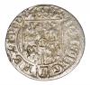 mini: Półtorak 1618 Zygmunt III Waza Polska Bydgoszcz (2)