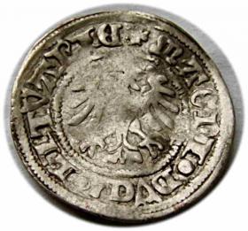 Obrazek 2 dla: Półgrosz Aleksander Jagiellończyk Wilno