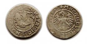 Obrazek dla: Półgrosz Zygmunt I Stary Wilno