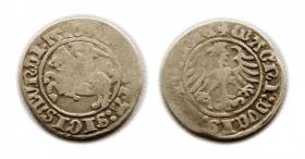 Obrazek dla: Półgrosz 1510 Zygmunt I Stary Wilno