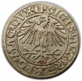 Obrazek 2 dla: Półgrosz 1549 Zygmunt II August Wilno