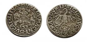 Obrazek dla: Półgrosz 1550 Zygmunt II August Wilno