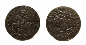 Obrazek dla: Półgrosz 1555 Zygmunt II August Wilno