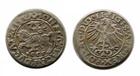 Obrazek dla: Półgrosz 1555 Zygmunt II August Wilno