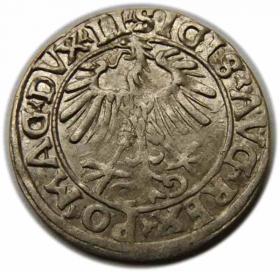 Obrazek 2 dla: Półgrosz 1556 Zygmunt II August Wilno