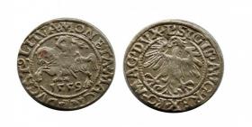 Obrazek dla: Półgrosz 1559 Zygmunt II August Wilno