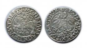 Obrazek dla: Półgrosz 1560 Zygmunt II August Wilno