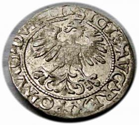 Obrazek 2 dla: Półgrosz 1560 Zygmunt II August Wilno