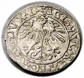 Obrazek 2 dla: Półgrosz 1562 Zygmunt II August Wilno