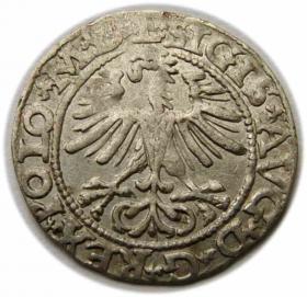 Obrazek 2 dla: Półgrosz 1564 Zygmunt II August Wilno