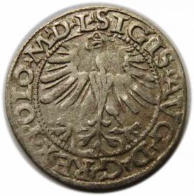 Obrazek 2 dla: Półgrosz 1565 Zygmunt II August Wilno