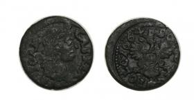 Obrazek dla: Szeląg 1664 Jan Kazimierz Ujazdów