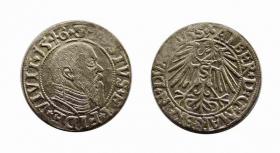 Obrazek dla: Grosz 1546 Albrecht Hohenzollern Księstwo Pruskie Toruń