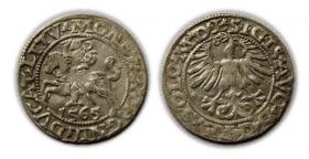 Obrazek dla: Półgrosz 1565 Zygmunt II August Wilno