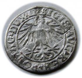 Obrazek 2 dla: Półgrosz 1549 Zygmunt II August Wilno