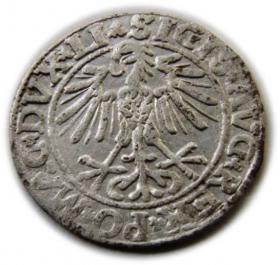 Obrazek 2 dla: Półgrosz 1550 Zygmunt II August Wilno