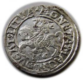 Obrazek dla: Półgrosz 1556 Zygmunt II August Wilno