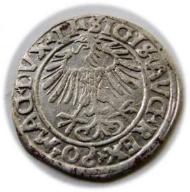 Obrazek 2 dla: Półgrosz 1556 Zygmunt II August Wilno