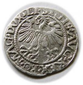 Obrazek 2 dla: Półgrosz 1559 Zygmunt II August Wilno