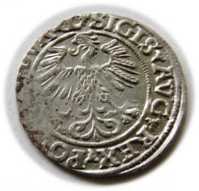 Obrazek 2 dla: Półgrosz 1560 Zygmunt II August Wilno