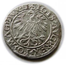 Obrazek 2 dla: Półgrosz 1560 Zygmunt II August Wilno