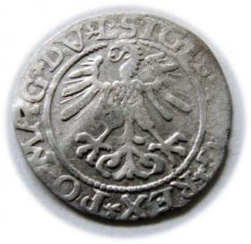 Obrazek 2 dla: Półgrosz 1561 Zygmunt II August Wilno