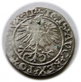 Obrazek 2 dla: Półgrosz 1561 Zygmunt II August Wilno