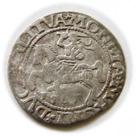 Obrazek dla: Półgrosz 1561 Zygmunt II August Wilno