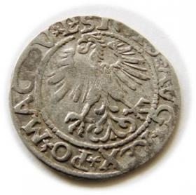 Obrazek 2 dla: Półgrosz 1561 Zygmunt II August Wilno