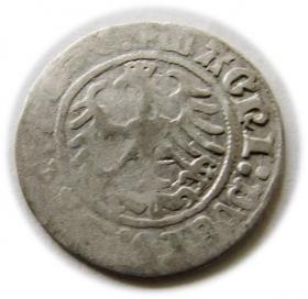 Obrazek 2 dla: Półgrosz Zygmunt I Stary Wilno