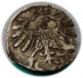 Obrazek 2 dla: Denar 1556 Zygmunt II August Wilno